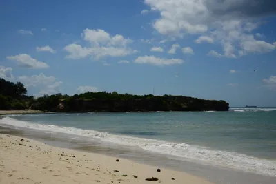 DSC_7652 (Large).JPG